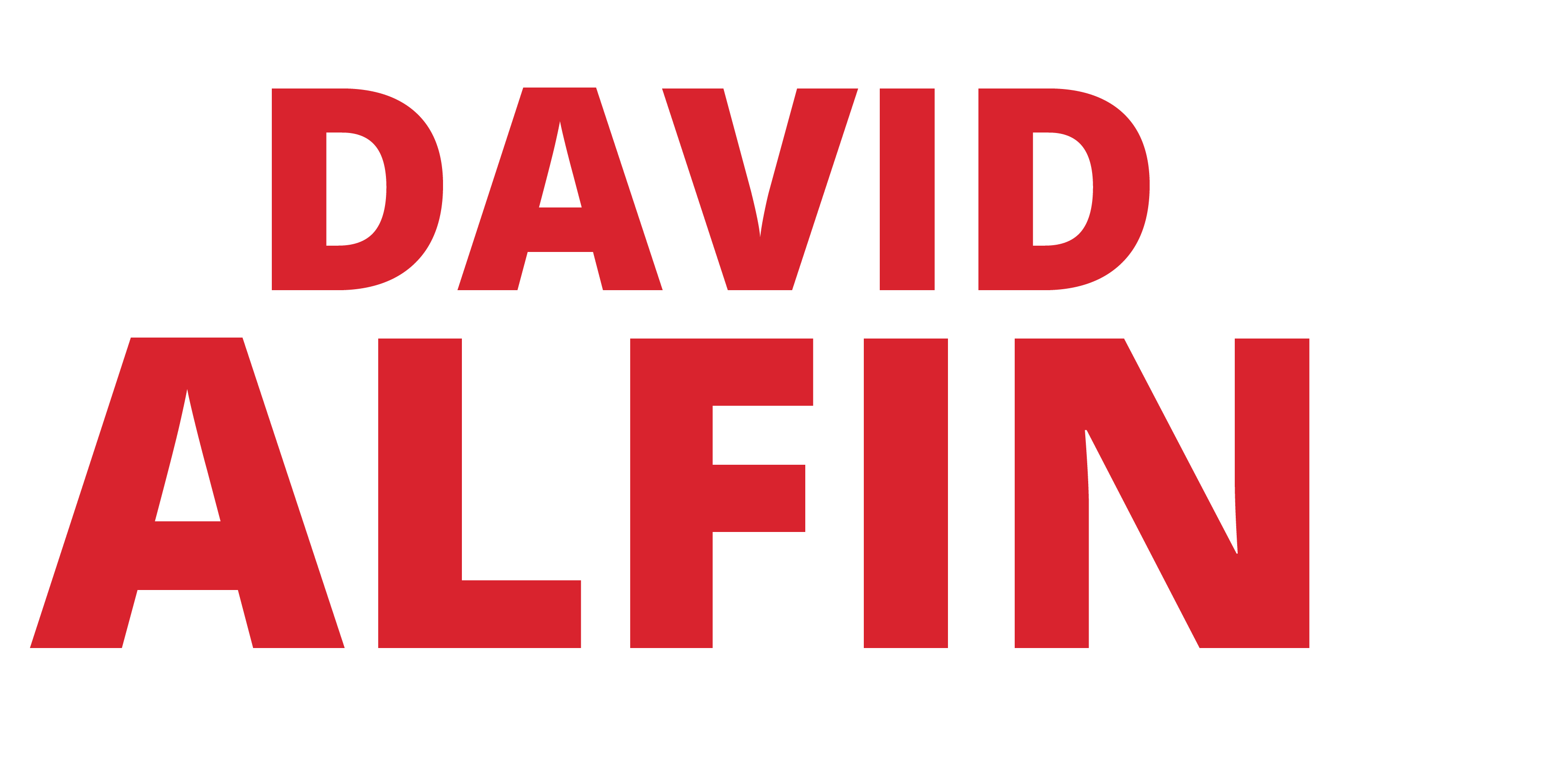 Re-Elect Mayor David Alfin